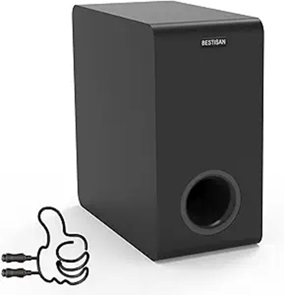 Bestisan 6.5 Active Home Audio Subwoofer