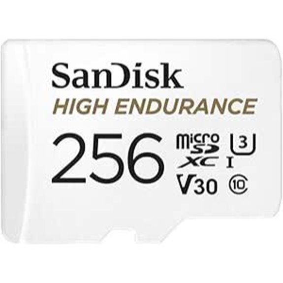 SanDisk 256GB High Endurance Video microSD Card