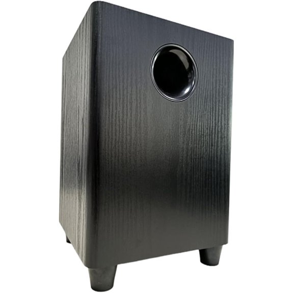 Passive 6.5 Subwoofer with 100W Power