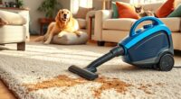 top portable pet carpet cleaners