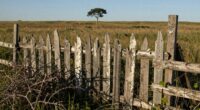 recurring boundary challenges