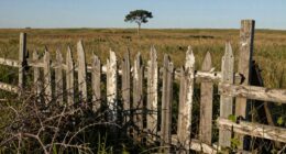 recurring boundary challenges